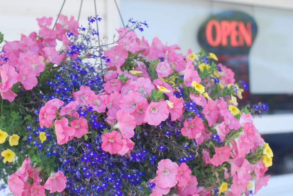 Tantramar Motel サックビル エクステリア 写真